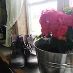 Piibelehe Guest