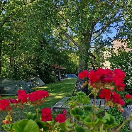 Gasthof Piibelehe Guest *
