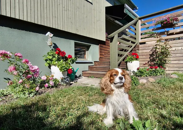 Piibelehe Guest Gostinjska kuća Kuressaare