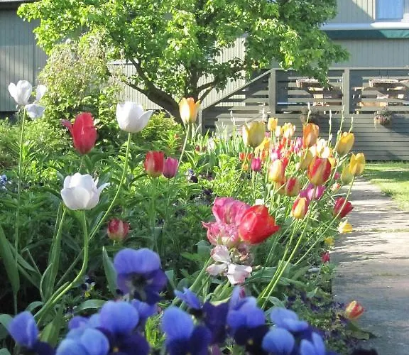 Maison d'hôtes Piibelehe Guest